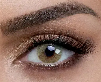 Majdaya Lentilles MELYA Vert clair amande