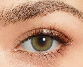 Majdaya Lentilles VERT TROPICAL Kaki à contour noir