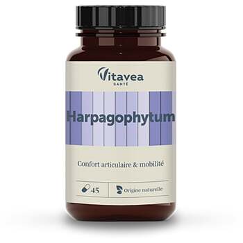 Vitavea Les Essentiels Harpagophytum Gel Fl/45