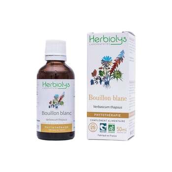 Herbiolys Phyto Bouillon blanc 50mL BIO