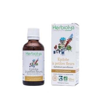 Herbiolys Phyto Epilobe à petites fleurs 50mL BIO