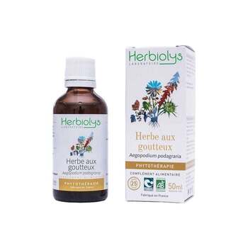 Herbiolys Phyto Herbe aux goutteux 50mL BIO