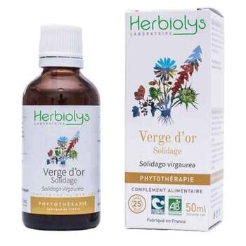 Herbiolys Teinture-mère Solidage verge d'or BIO