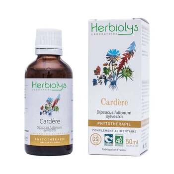 Herbiolys Teinture-mère Cardère BIO