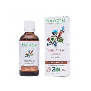 Herbiolys Gemmo Vigne vierge Ampélopsis 50mL BIO