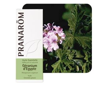 Pranarom HE Géranium d'Egypte 10ml