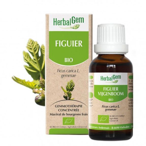 Extrait De Bourgeon De Figuier Herbalgem Figuier Bio 30ml bourgeons