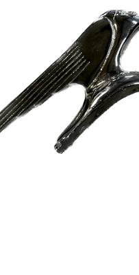 motif sur calandre BL forme tête