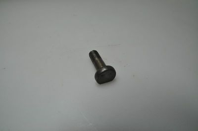 screw for flywheel fixation perfo
