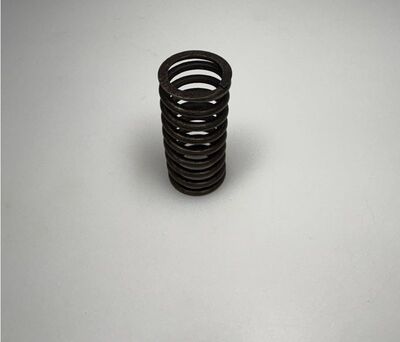 Shank Spring Inner valve inner spring