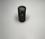 valve inner spring