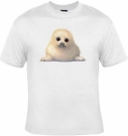 T-shirt FEMME manches courtes - Bébé phoque - 1533 - blanc