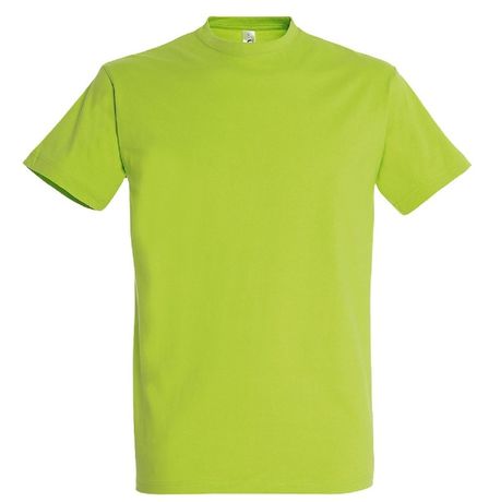 T-shirt homme manches longues PIERELON vert, col rond, 60% coton 40 T-shirt homme manches longues PIERELON vert, col rond, 60% coton 40