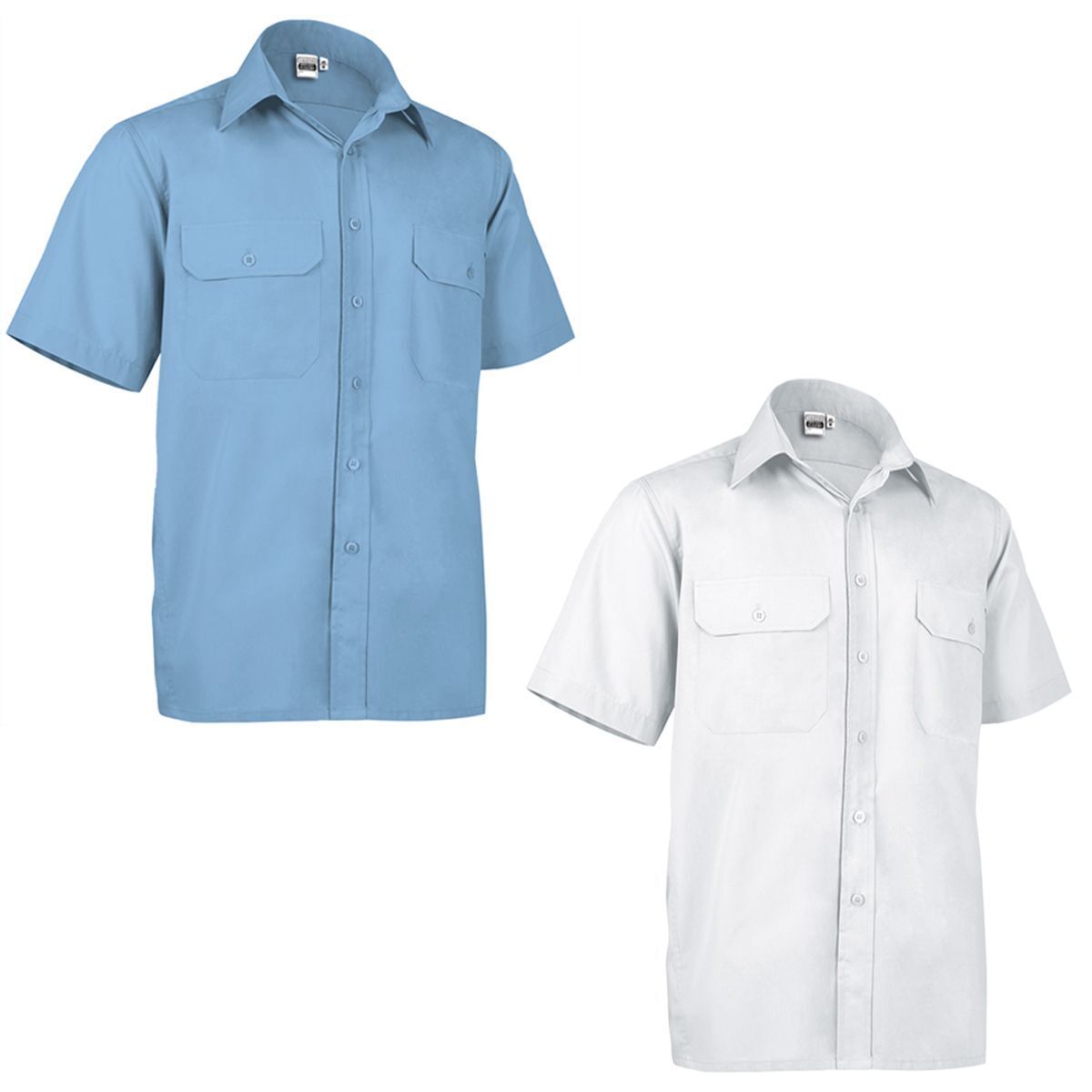 Lot 2 Chemises manches courtes - Homme - ACADEMY MC - blanc - bleu ciel