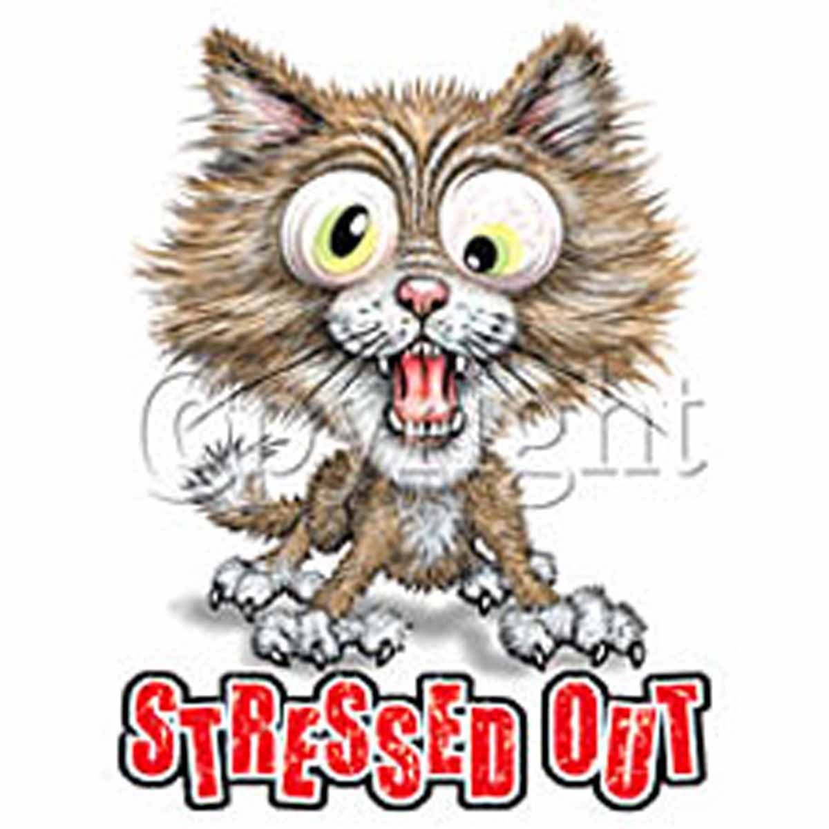 T Shirt Femme Humour Chat Stressed Out T Shirt Femme Humour Chat Stressed Out