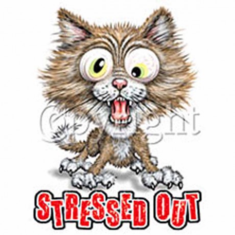 Téléchargement gratuit Images T Shirt Femme Humour Chat Stressed Out dernière par