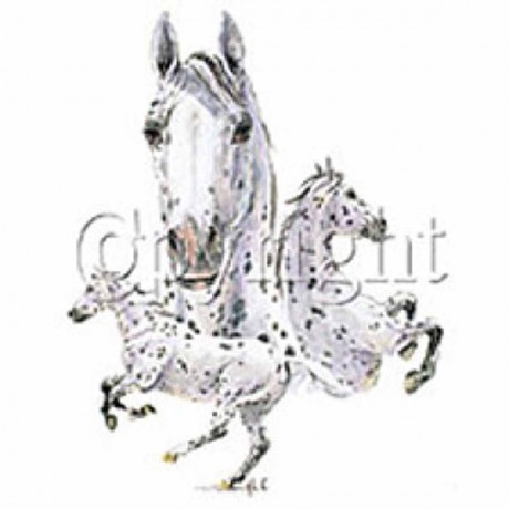T-Shirt Femme à Cheval Noir - ARZER Manches Courtes Classique Passion Équitation