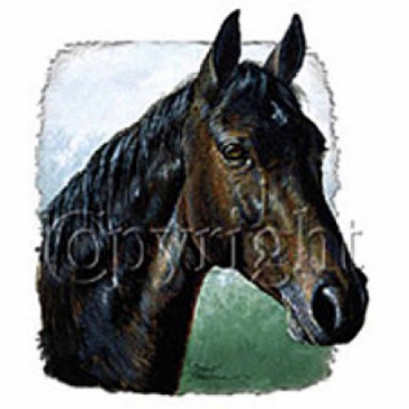 T-shirt Loose Imprimé - Crème/cheval - FEMME | H&M FR