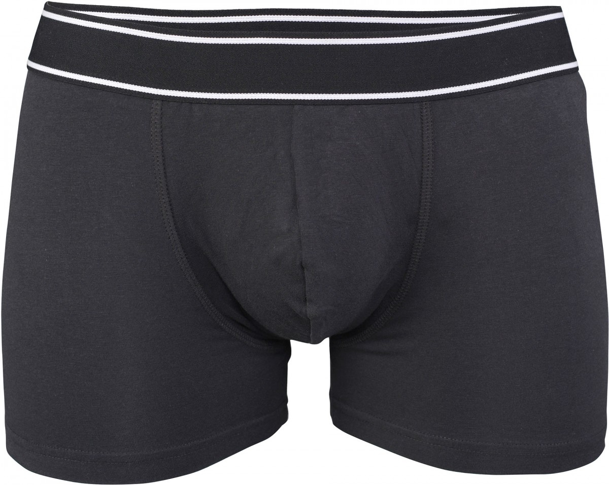 2 boxers homme modèle court avec bambou 2 boxers homme modèle court avec bambou