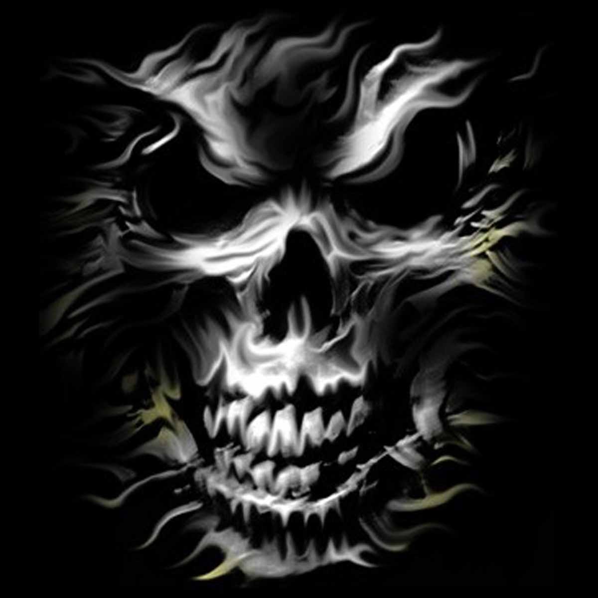 T-shirt femme tête de mort - skull silver - gothique - biker - moto