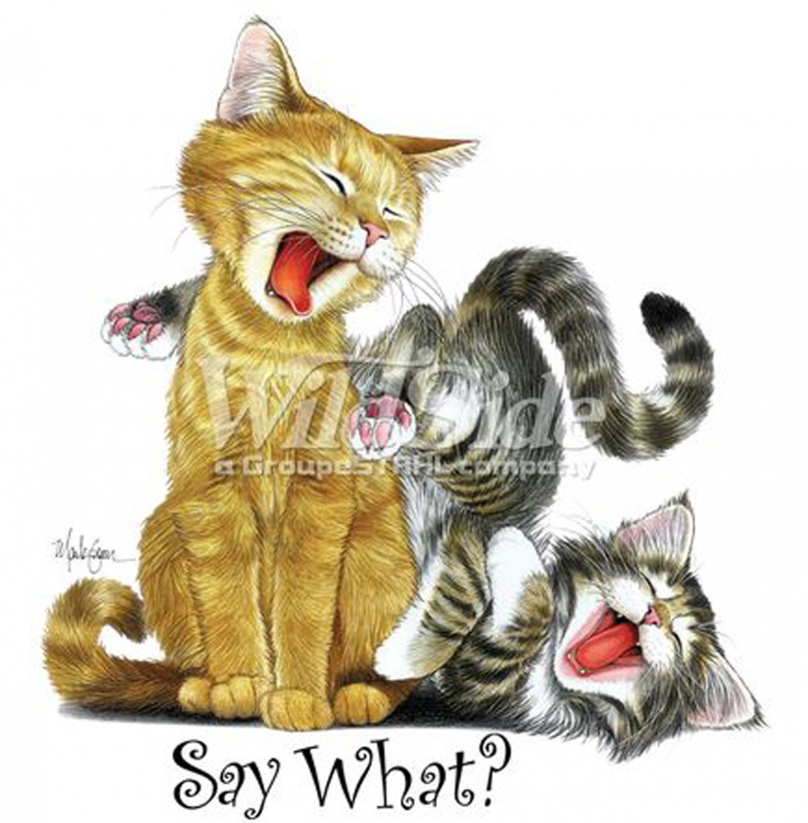 Téléchargement gratuit Images T Shit Femme Chats Morts De Rire Humour Rigolos actualisé par