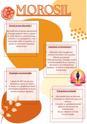 Morosil Minceur