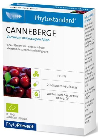 Collier Arizona Sleeping Beauty Turquoise Avec Diamants En Or Massif 14 Carats Collier Arizona Sleeping Beauty Turquoise Avec Diamants En Or Massif 14 Carats
