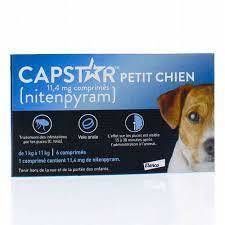 Capstar 11.4 mg petits chiens de 1 à 11 kg 6 cp