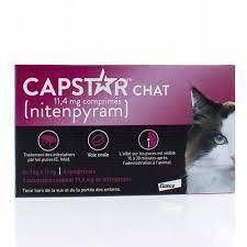 CAPSTAR CHAT 11,4MG - 6 COMPRIMES