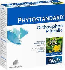 Pileje - phytostandard orthosiphon piloselle