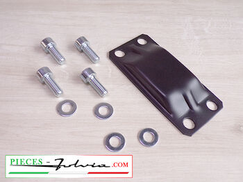 Mounting plate for REAR silent block of REAR suspension Fulvia all models