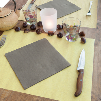 Set de table 31x43cm Paille FEEL GREEN - Carton de 1250 unités