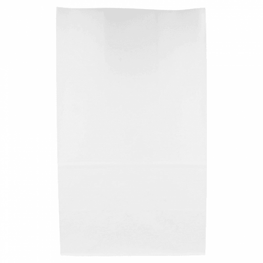 Sac papier SOS sans anses 22 + 14 x 37 cm neutre BLANC - carton de 500 unités