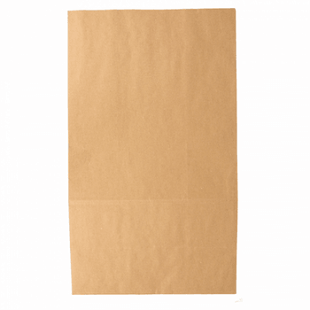 Sac papier SOS sans anses 25 + 15 x 43.5 cm neutre KRAFT - carton de 250 unités