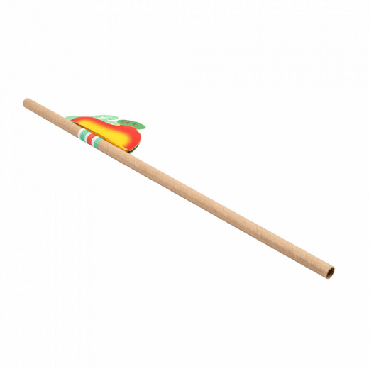 Pailles décorées fruits kraft en PAPIER recyclable 0.6 x 23 cm - pack de 24 pailles