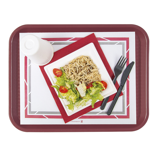 Set de table 28x35cm pour plateau fast food 31x41 cm - Carton de 2000 unités