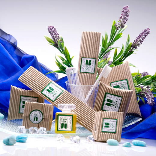 Peigne en PS en sachet individuel 13.3x2.7x0.3cm - Pack de 100 unités