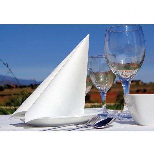 Serviette Soft voie sèche 40x40 cm BLANCHE 55g/m² - 20 carton de 700 unités