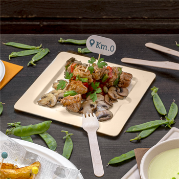 Assiette carré avec encoche en cellulose naturelle fibre de canne à sucre  -Naturel - 20x20 cm - carton de 200 unités