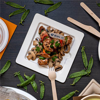 Assiette carré avec encoche en cellulose naturelle fibre de canne à sucre  - Blanc - 20x20 cm - carton de 200 unités