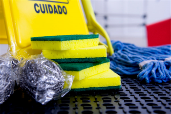 Spirale à récurer professionnelle en inox 40g - 12 unités