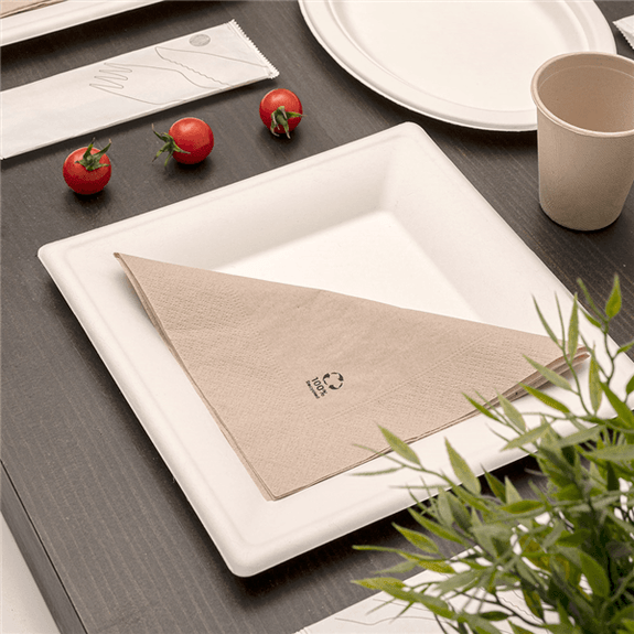 Assiette carré en cellulose naturelle fibre de canne à sucre  - Blanc - 20x20x1.5 cm - carton de 500 unités