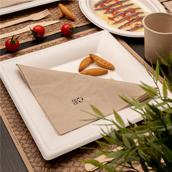 Assiette carré en cellulose naturelle fibre de canne à sucre  - Blanc - 26.2x26.2x1.9 cm - carton de 300 unités