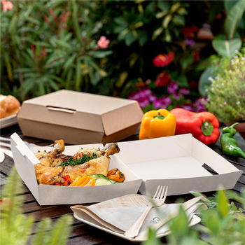 Maxi Lunch Box en carton nano-micro Blanche 23.5x24x8.7 cm - carton de 150 unités