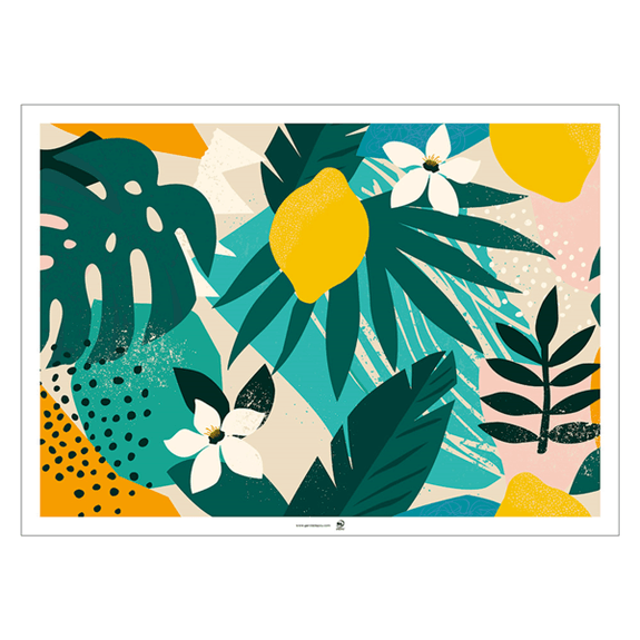 Set de table 31x43cm AMALFI assortiment - Carton de 2000 unités