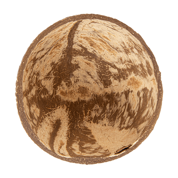 Bol en noix de coco 100 ml 9 x 5 cm - pack de 5 unités