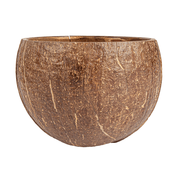 Bol en noix de coco 200 ml 9 x 6 cm - pack de 5 unités