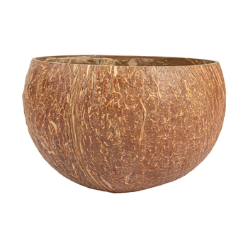 Bol en noix de coco 350 ml 9.5 x 8 cm - pack de 5 unités