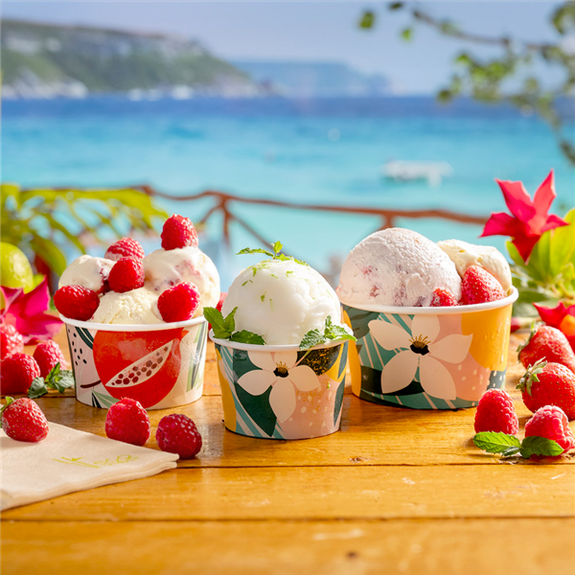 Pot à glace en carton TROPICAL 70 ml - paquet de 50 unités