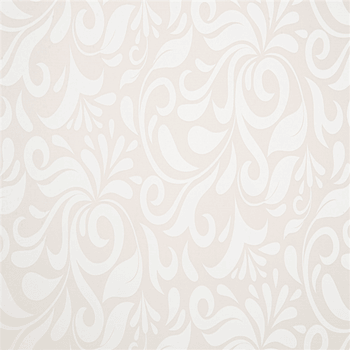 Boîte de transport Damassé pour plateau type traiteur 19 x 28 x 6 cm - carton de 100 unités